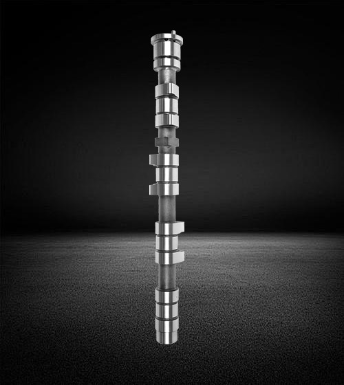409051-1006011-00 غزال Camshaft